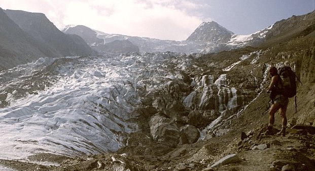 Ried Glacier and Durrenhorn ( 4035 metres )