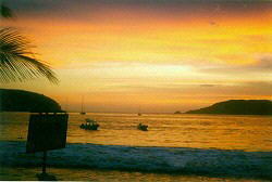 http://www.troncones.net