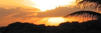http://www.cancunhotelstravel.com/